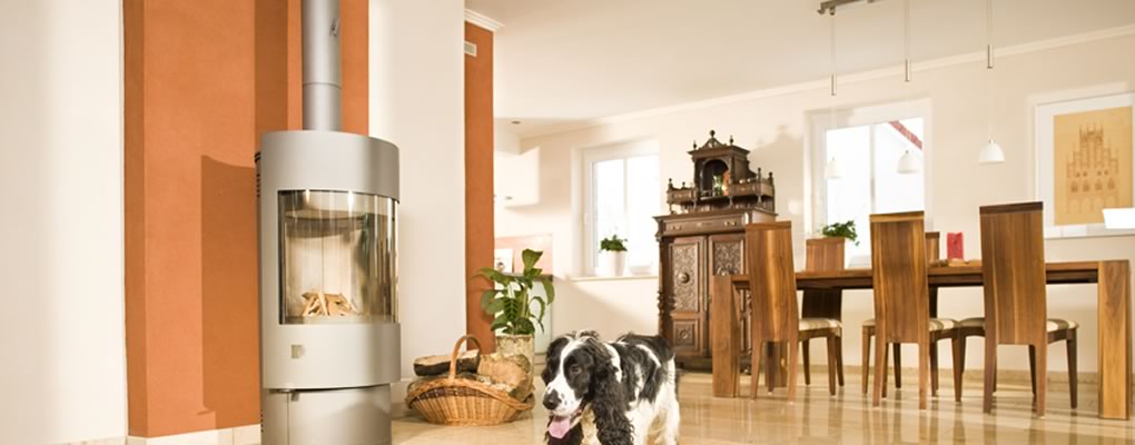 Hund in Esszimmer mit Tpaint Lehmputz